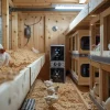 Poules dans un poulailler garni d'une litière végétale propre