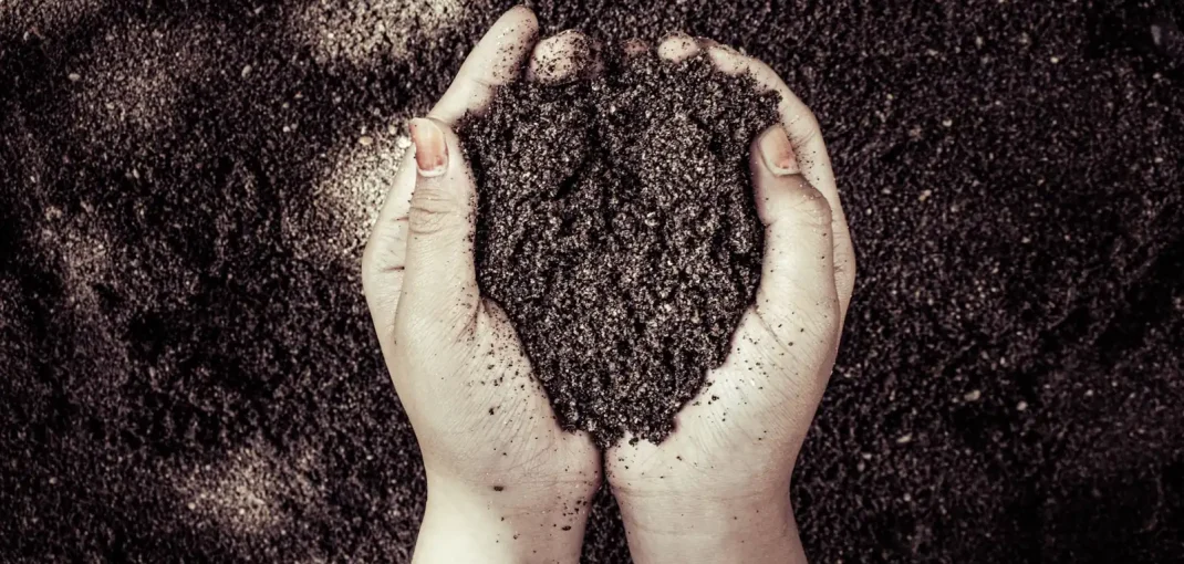 Terre de jardin vivante tenue dans les mains
