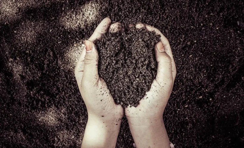 Terre de jardin vivante tenue dans les mains