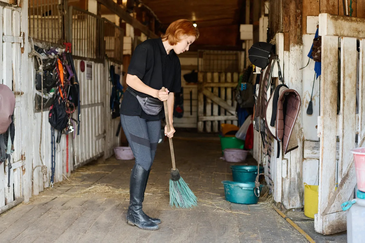 Curage quotidien d'un box de cheval à la fourche
